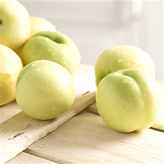 Beyaz Nektarin fidanı